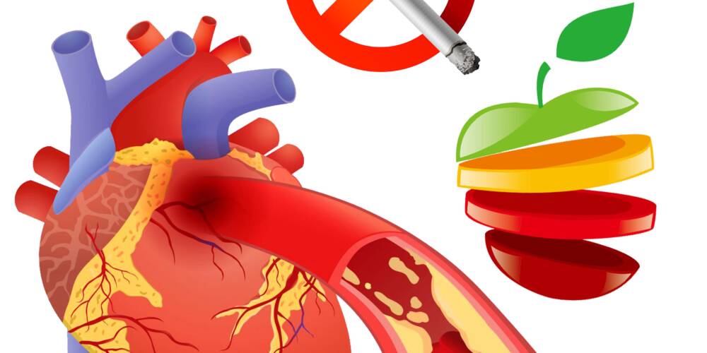 Obesity & Geriatric Nutrition Wellness